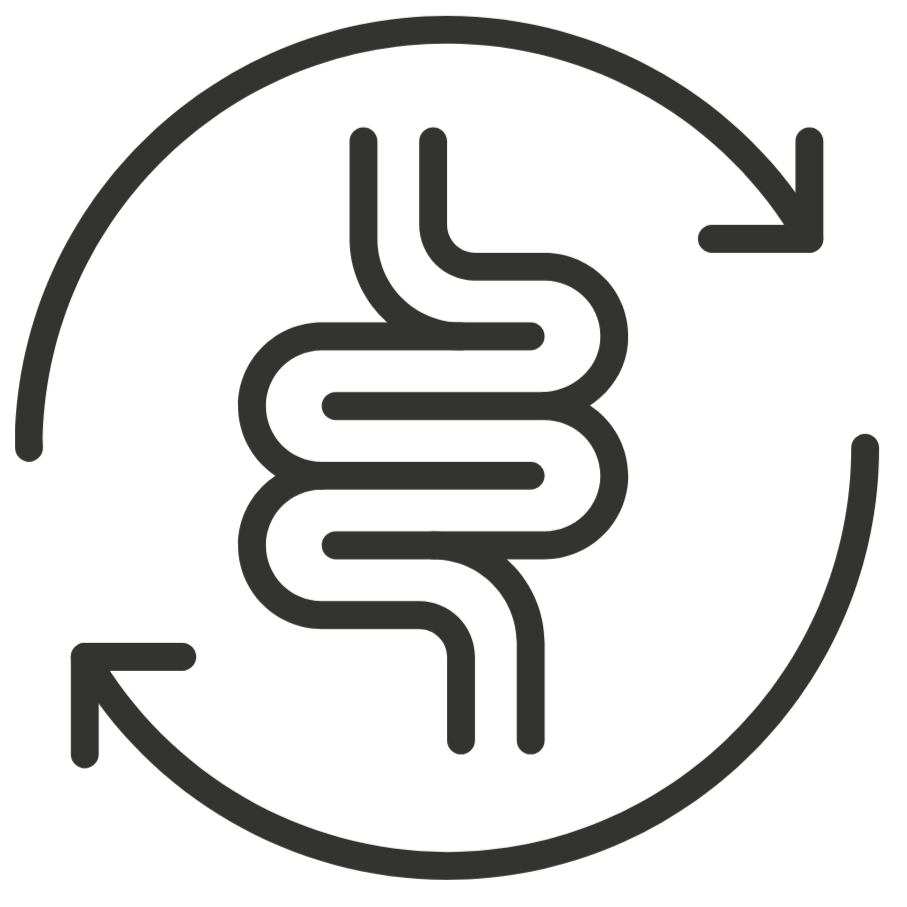 bien-être intestinal